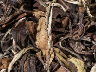 福鼎白茶磻溪2019年寿眉日晒散装枣香冰糖甜白茶厂家直销50 0g起批图3