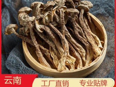 云南特产鹿茸菇干货 厂家批发食用菌鹿茸菌干货批发 产地货源图3