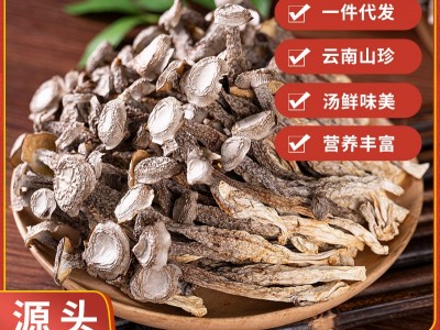 云南特产鹿茸菇干货菌汤包厂家直销食用菌脆嫩鹿茸菇干货大量批发图2