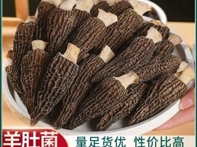 新货云南特级羊肚菌干货精选正品羊肚菇煲汤滋补食材农家特产包邮图3