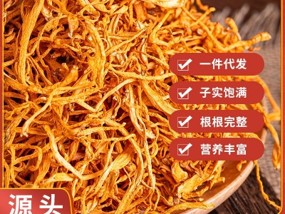 虫草花大量批发蛹草花食用菌菇包汤包汤料散装虫草花厂家直发图2