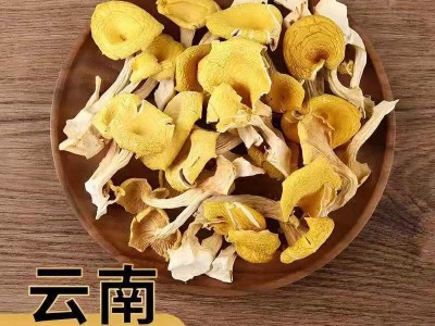 云南特产鸡油菌干蘑菇鸡油菌黄丝菌食用菌榆黄菇干货厂家直销图3