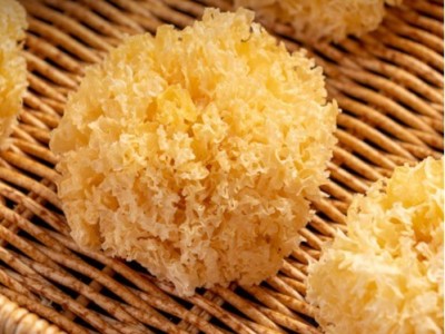 椴木小银耳干货非有机特级野生糯耳羹出胶雪耳古田白木耳丑耳无硫图4