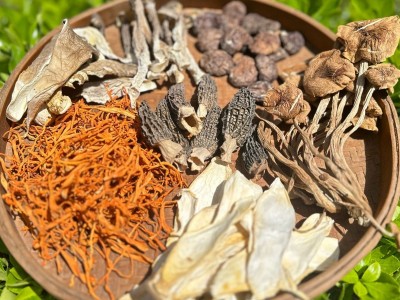 福建宁德寿宁工厂直供高山羊肚菌汤包60g批发菌菇干货批发图2