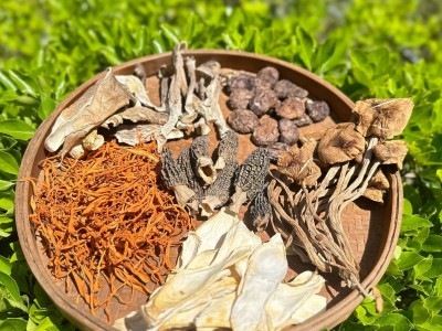福建宁德寿宁工厂直供高山羊肚菌汤包60g批发菌菇干货批发图4