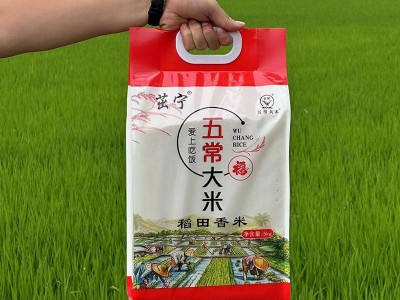 东北大米5kg稻田香米新米黑龙江大米10斤五常大米东北长粒香图2