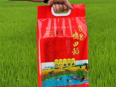 五常大米鸭田香米10斤5kg一袋东北新米稻花长粒香米厂家批发代发图2