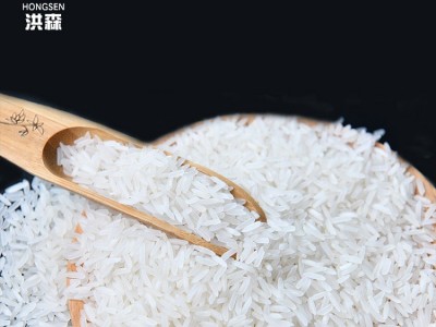 【现磨现发】洪森 长粒香米5kg 大米 南方籼米当季新米10斤丝苗米图4