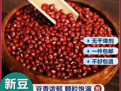 24新货红豆农家自产新鲜红小豆赤小豆干货非特级商用五谷杂粮包邮图2