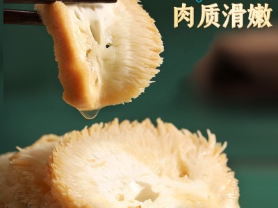 古田猴头菇干货深山煲汤猴菇头非新鲜500g菌菇袋装批发直销养胃图4