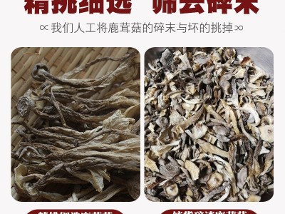 新货精选鹿茸菇干货净重500g非特级无沙鹿茸菌商用脆脆菇煲汤食材图2