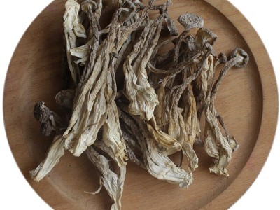 新货精选鹿茸菇干货净重500g非特级无沙鹿茸菌商用脆脆菇煲汤食材图4