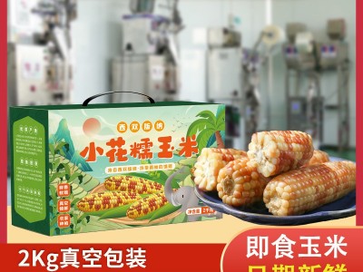 糯玉米新鲜西双版纳特产香糯云南小玉米真空即食香甜花包谷4斤装图3