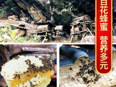 XC清润石蜂糖 细颗粒非马来西亚 石峰糖桃胶燕窝伴侣图4