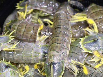 松发水产鲜活泰式生腌呛大虾开背去虾线无皮虾泰国富贵虾可生食用图3