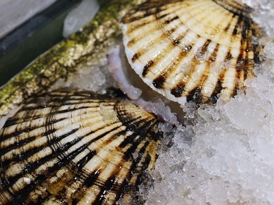供应海鲜水产新鲜元贝大扇贝烧烤专用食材海鲜鲜活家庭商用元贝图4
