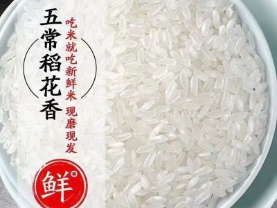 米范时代 五常大米5kg/袋 五公斤稻花香2号大米 当季新米图3