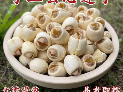 2024新货莲子正宗广昌白莲500g纯手工去芯无硫莲子干货大颗粒图3