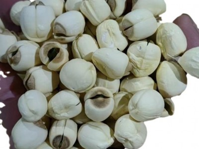 广昌农家莲子实芯无硫莲子手工去皮无通芯白莲500克广昌白莲干货图5