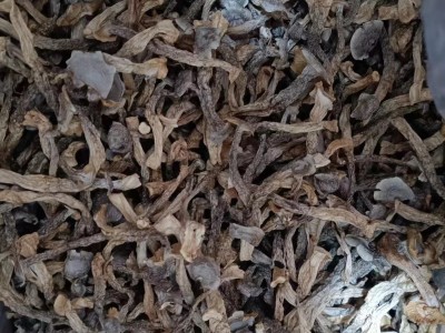 鹿茸菇货源一手批发图4