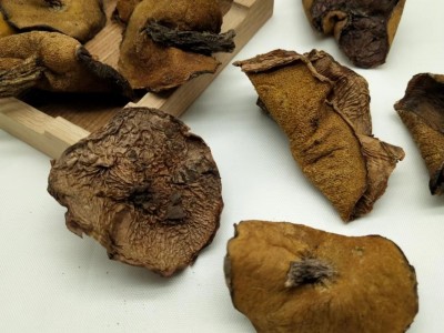 野生松蘑东北特产松菇干货粘蛾子松蛾粘团子山蘑菇松口蘑特产包邮图3