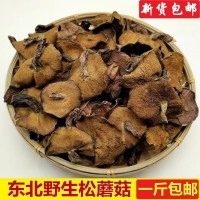 野生松蘑东北特产松菇干货粘蛾子松蛾粘团子山蘑菇松口蘑特产包邮