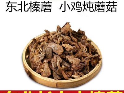 东北黑龙江榛蘑自然晾晒干货小鸡炖蘑菇批发长白山特产新货包邮图2