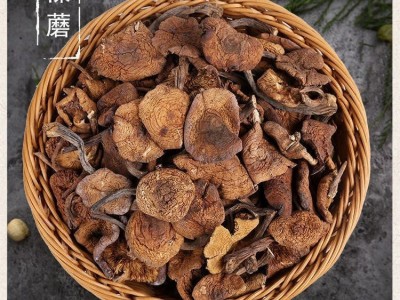 东北黑龙江榛蘑自然晾晒干货小鸡炖蘑菇批发长白山特产新货包邮图3