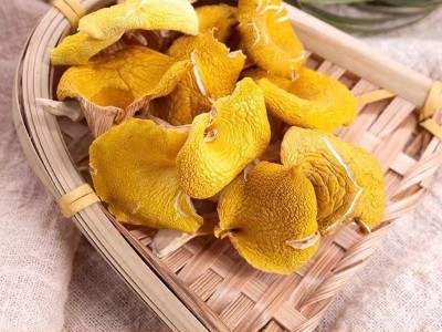 东北鸡油菌源头基地直供东北特产食用菌黄金菇煲汤榆黄菇干货批发图2