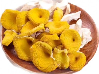 东北鸡油菌源头基地直供东北特产食用菌黄金菇煲汤榆黄菇干货批发图5