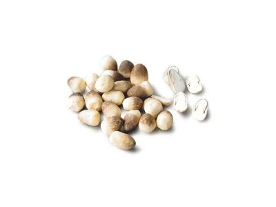水煮草菇整粒 草菇片 草菇罐头图5