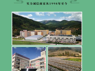 东北黑木耳（1.8-2.5）云耳 鼠耳 凉拌木耳肉厚泡发率高　无异物图2
