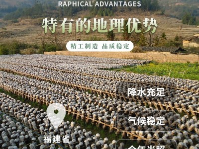东北黑木耳（1.8-2.5）云耳 鼠耳 凉拌木耳肉厚泡发率高　无异物图3