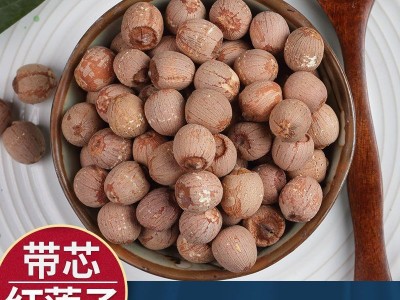 新鲜湘潭白莲子大颗粒湘莲干货散装袋装磨皮无硫红皮带芯无芯莲子图5