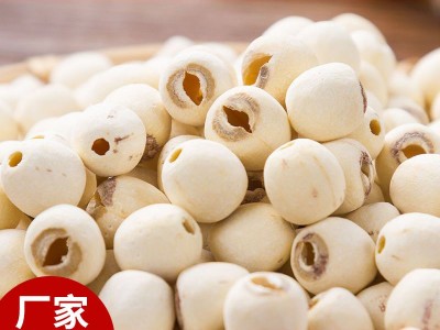 新鲜湘潭白莲子大颗粒湘莲干货散装袋装磨皮无硫红皮带芯无芯莲子图2