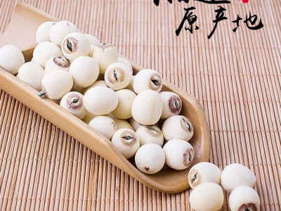 新鲜湘潭白莲子大颗粒湘莲干货散装袋装磨皮无硫红皮带芯无芯莲子图3