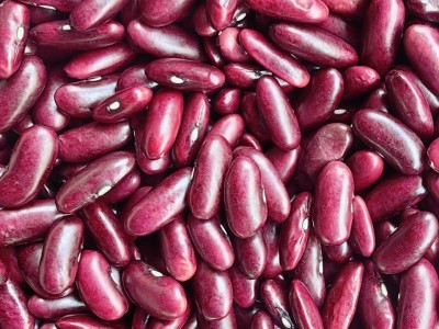 批发云南特产新货四季豆 红腰豆缅甸红腰豆 红芸豆大红豆五谷杂粮图3