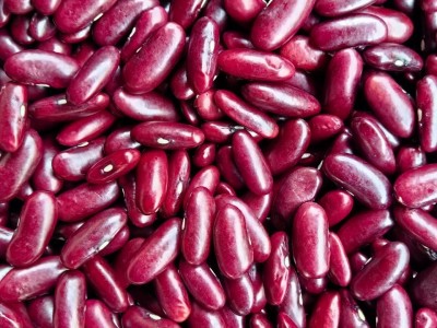 批发云南特产新货四季豆 红腰豆缅甸红腰豆 红芸豆大红豆五谷杂粮图2