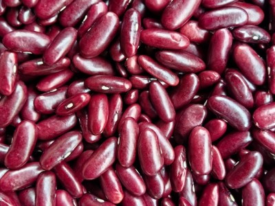 批发云南特产新货四季豆 红腰豆缅甸红腰豆 红芸豆大红豆五谷杂粮图5