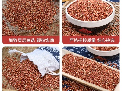 高粱 源头厂货批发带皮高粱 未脱皮信鸽饲料原料红高粱 酿酒酿醋图2