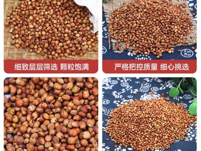 货源供应糯高粱 未脱皮酿酒新糯红高粱米五谷杂粮带皮红高粱袋装图3