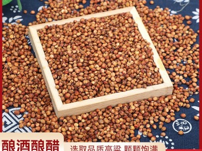 货源供应糯高粱 未脱皮酿酒新糯红高粱米五谷杂粮带皮红高粱袋装图2