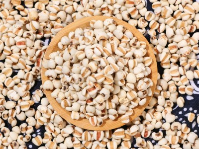 厂家供应薏仁米 中药材炒薏米仁 五谷杂粮农家粗粮 豆浆磨粉原料图3