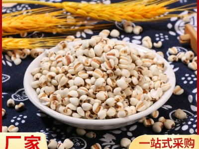 厂家供应薏仁米 中药材炒薏米仁 五谷杂粮农家粗粮 豆浆磨粉原料图2