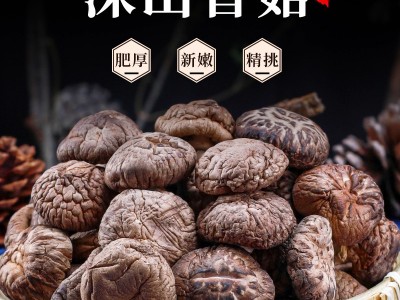 香菇干货500g散装一斤包邮商用新鲜云南一级干香菇小冬菇蘑菇代发图4