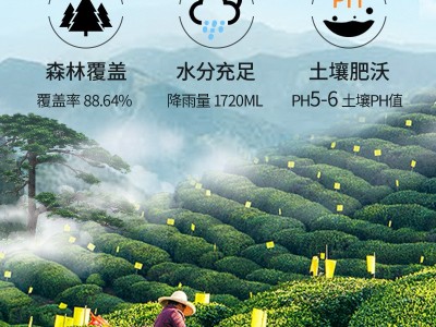 新茶祁门红茶特级春茶浓香型茶叶自己喝批发散装礼盒装500g图4