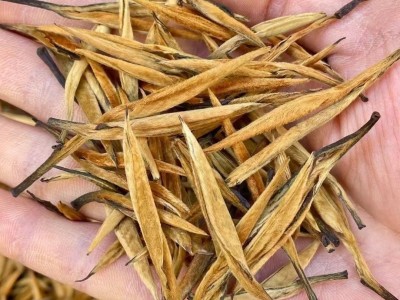 头春滇红理条金芽大金针 凤庆红茶批发金 直条 汤亮香甜图4