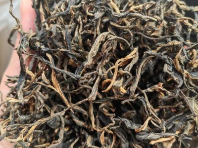 云南红茶源头厂家普洱茶 茶叶凤庆野韵红茶特级滇红普洱红茶 毛峰图5