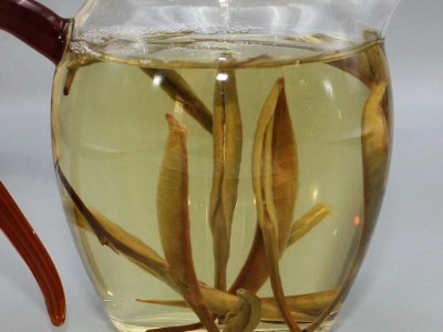 特级 云南古树 大白芽茶 散料 源头厂家 现货 批发 花香图4
