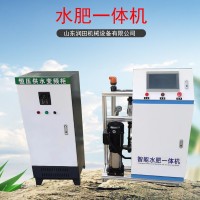 全自动智能水肥一体机单双通道手机远程控制大棚滴灌喷灌系统安装